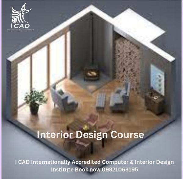 What is a Bachelor in Int