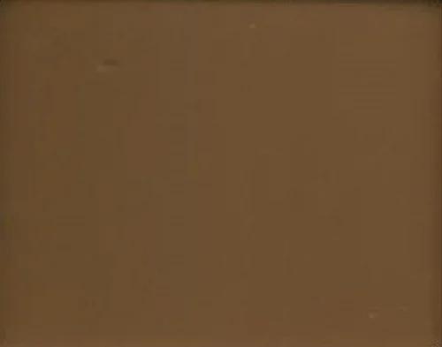 Brown Plain Polycarbonate Sheet in Coimbatore