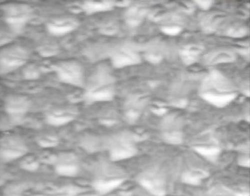 Transparent Polycarbonate Diamond Sheet in Coimbatore