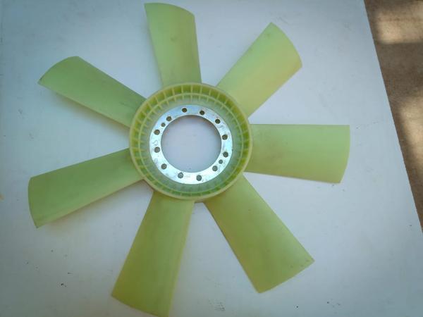 FAN LEAF 