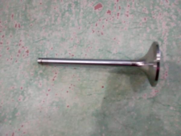 VALVE INLET / VALVE EXHAUST / Make : Greaves / Model : TBD3 V8 II / PART NUMBER : 623404600064 / Price: Rs.750
