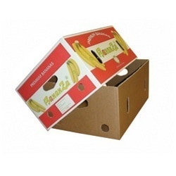 Board Grade(No. Of Ply)	Double Wall 5 PlyApplication	Fruit Packaging BoxShape	RectangularWeight Holding Capacity (Kg)	11 - 25 KgStyle of Corrugated box	Telescope typeType of Printing	FlexoPaper Grades(Outer / Inner Liners)	Virgin Kraft PaperMaterial Grade(GSM)	185/200 GSMMaterial Thickness	0-3 mmSpecial Finish	Additional Cut OutCountry of Origin	Made in IndiaCustomers have praised our presented Printed Paper Fruit Box due to availability in different sizes. These fruit boxes are superior in working and made with the best usage of papers which are recommended by the experts. These boxes are safe from damage by high pressure. These boxes are quality tested by the professionals to offer hard framed products in the market. Features:Eco friendlySafe to stuffAppreciable working