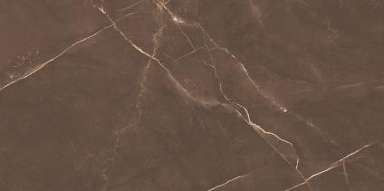 Argenta Brown is a high-gloss, premium-quality vitrified tile, sized 600x1200mm. Its elegant brown hue adds warmth and sophistication to any space, making it an ideal choice for modern interiors.