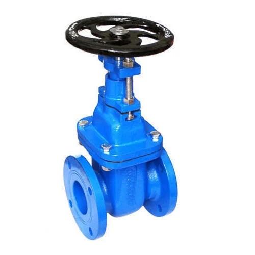 CAST IRON GATE VALVE FLANGED END