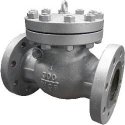 WCB SWING CHECK VALVE FLANGED END