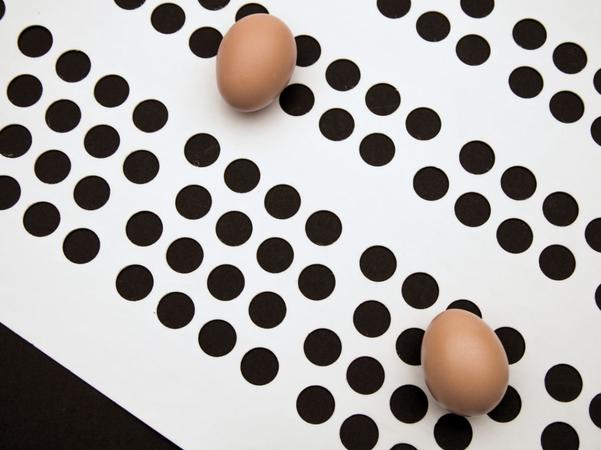 Hongs Egg Belt Conveyor