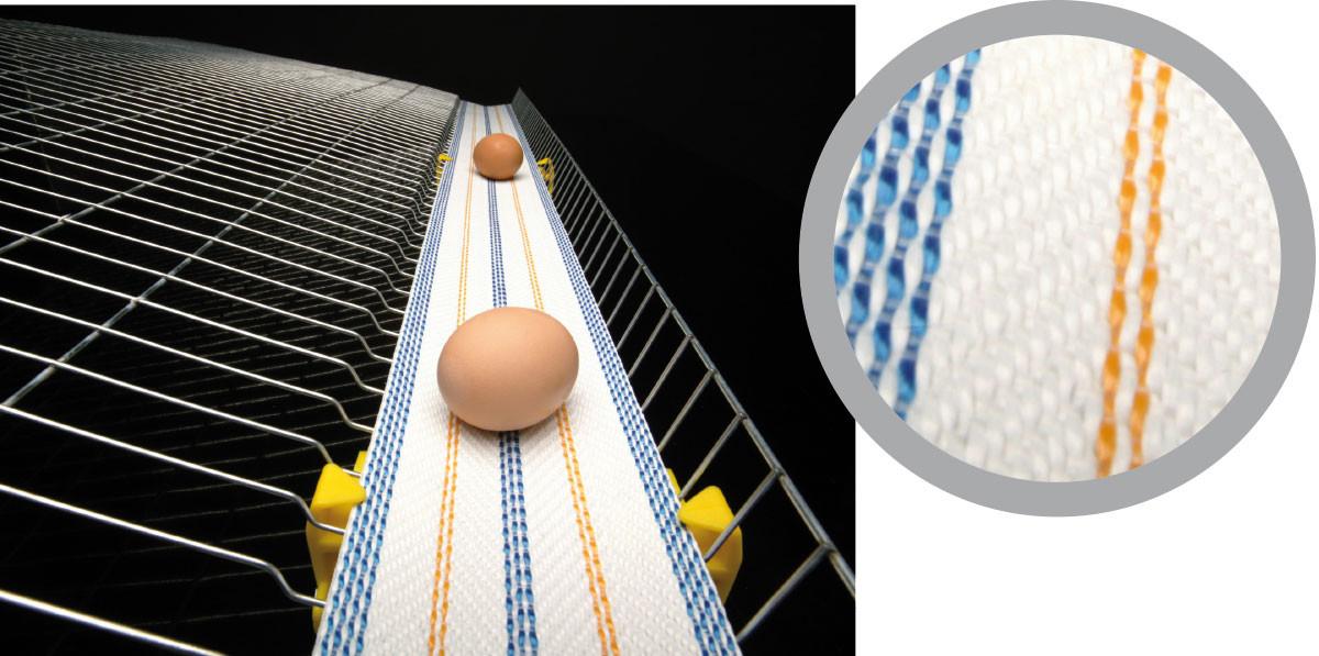 Egg Conveyor