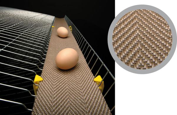 White polypropylene belt woven with high tenacity polyester. The polyester weft makes the belt softer with a greater adaptability to the egg collection channel. It could be personalized with colored .