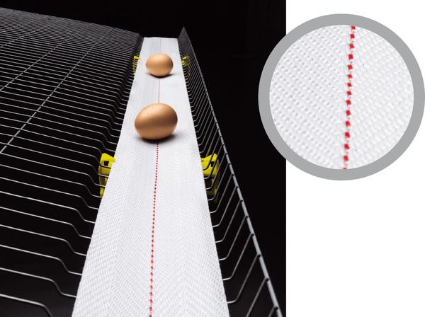 White polypropylene belt woven with high tenacity polyester. The polyester weft makes the belt softer with a greater adaptability to the egg collection channel. It could be personalized with colored lines.