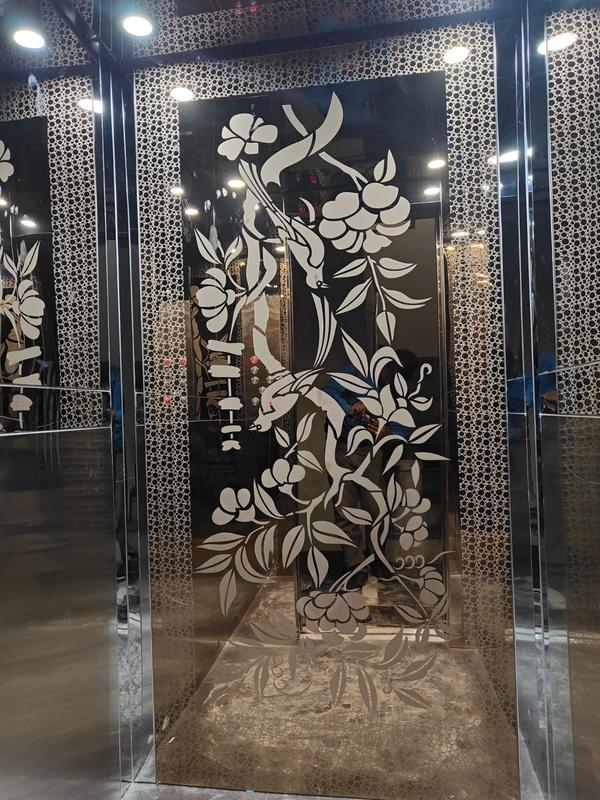 TORQUE ELEVATORS MRL LIFTSTART FROM 7 LAKH ONLY /