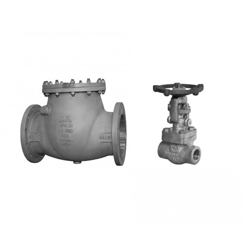 Swing check valves