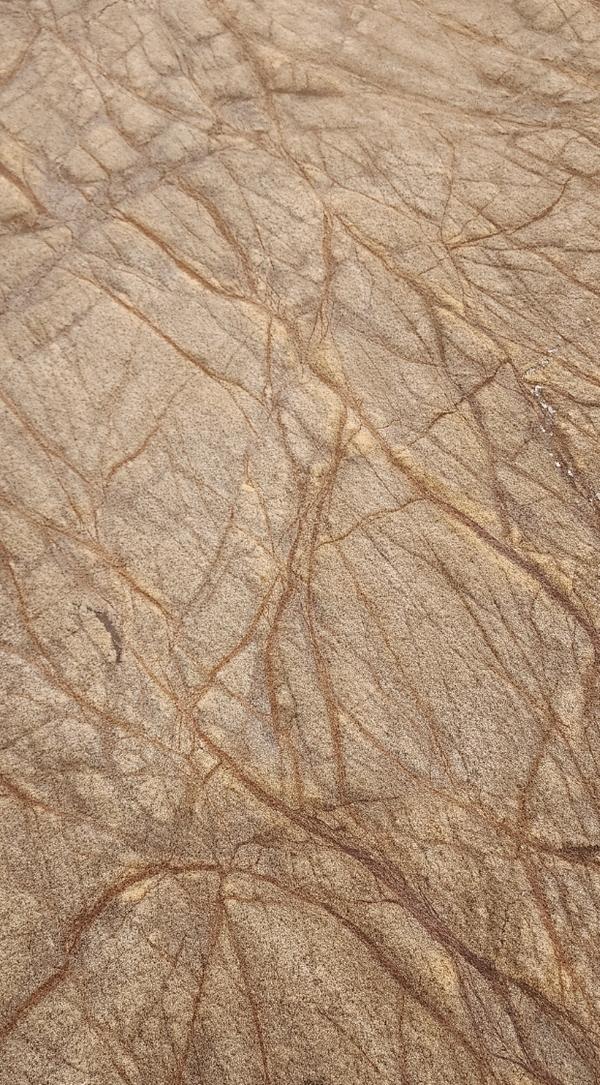 RAINFOREST BROWN product image