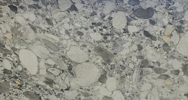 FOSSIL GRANITE