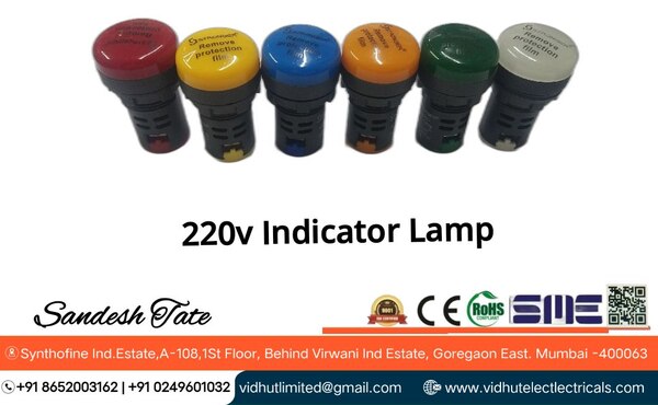220V Indicator Lamp