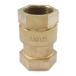 VERTIAL CHECK VALVE (1 INCH)