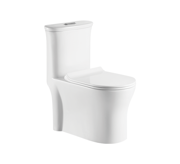 AGNESE (HINDWARE) COMMODE ONE PIECE