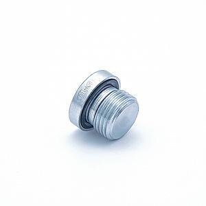 Socket Head Plug |  VSTI-GE