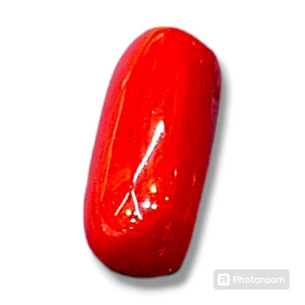 Natural italian Red Coral Munga Size 3.00 Caret