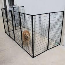 Dog Fencing