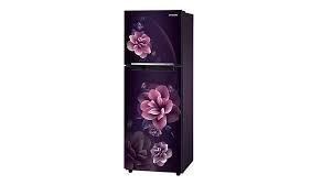 223 L Stylish Grandé Design Single Door Refrigerator RR24C2823CRDigital Inverter TechnologyUp to 15 days full freshnessRuns On Home InverterVoltage protectionEasy clean backMore bottle spaceStore more vegetables