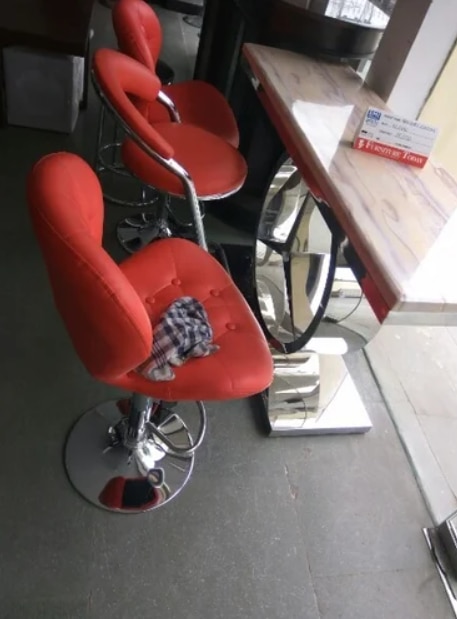 shop