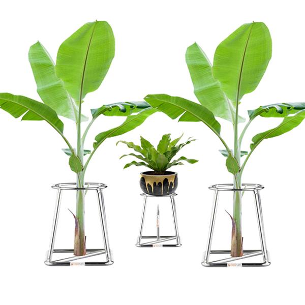 The Medifurn Pooja Banana Plant Stand is designed to bring elegance and tradition to your sacred spaces. Crafted from high-quality silver-coated metal, this stand is both durable and aesthetically pleasing. The compact design, measuring 10 cm x 10 cm x 13.3 cm, makes it perfect for placing in small altars or as a centerpiece in your pooja room. Whether you’re looking to enhance your home temple or create a focal point for special rituals, this set of two banana plant stands is an ideal choice. 