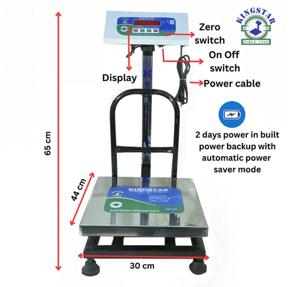 300X300 Platform Scale Capacity 100 Kg Accuracy 10gm Minimum 200g Front & Back Green Display SS Pan