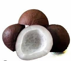 Dry Coconut Katore₹ 90/ KgGet Latest PriceBrand SHREE NATH JIPackaging Size 25 KgShelf Life 6 monthsPackaging Type BagType Raja puriColor BrownUsage/Application Sweets,Religious activityForm LooseWe Offering Best Qulity of south india dry coconut and coconut katore For Our customers over all india.