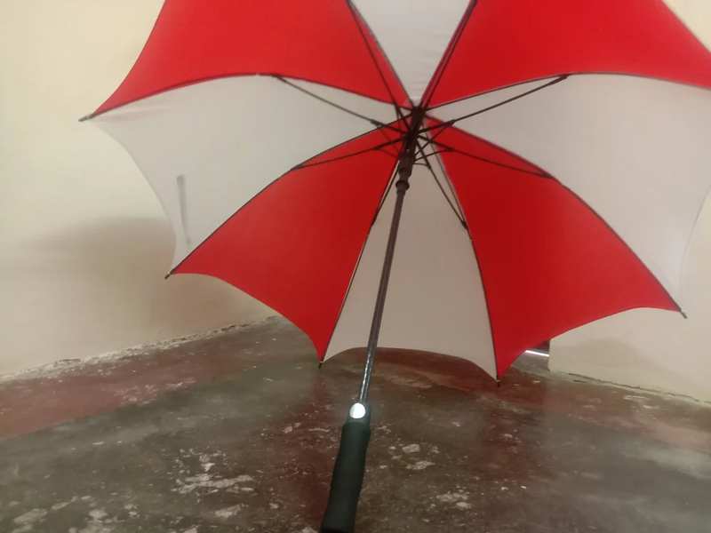 Raincoats and Umbrellas (monsoon season)