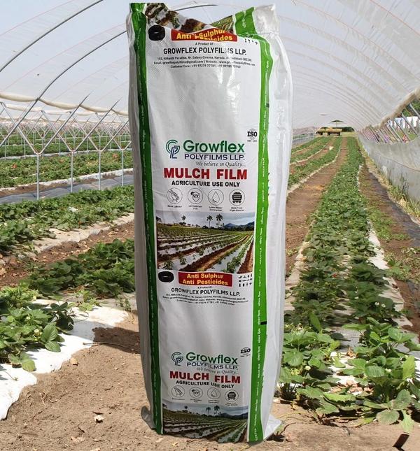 Agriculture Mulch Film Manufacturer in Ahmedabad, Gujarat, India.Mulching is a technique of adding a layer to the surface of the soil around the plant with plastic film to conserve the soil moisture that suppress weeds growth, regulate soil temperature and prevent water loss through evaporation.Mulching Film is made of High Strength LLDPE and LDPE Material. Presently different Color Plastic Film used as Mulches such as black-black, Silver - Black, Red -black, Yellow - Black & White –black. Enhance your agricultural practices with our premium Agricultural Mulch Films, meticulously crafted to meet the diverse needs of modern farming. At Growflex Polyfilms LLP, we understand the pivotal role that mulch films play in optimizing crop growth, conserving resources, and promoting sustainable agriculture. Our range of mulch films is engineered with precision and manufactured to the highest standards, ensuring reliability, performance, and value for farmers across India.Key Features: Weed Control: Moisture Retention: By reducing water evaporation from the soil surface, our mulch films help retain moisture, ensuring optimal hydration for plants and enhancing overall water-use efficiency. Moisture Retention: Temperature Regulation: Engineered to create a microclimate, our mulch films moderate soil temperature, protecting plants from extreme heat or cold stress and promoting robust root development.Soil Protection: Prevent soil erosion, compaction, and nutrient leaching with our mulch films, preserving soil structure and fertility for sustained agricultural productivity.UV Stability: Our mulch films are equipped with UV stabilizers, ensuring durability and longevity, even in the harshest environmental conditions, for extended field life. Product Options: Standard Mulch Films: Our standard mulch films offer reliable performance and cost-effectiveness, providing essential weed control, moisture retention, and soil protection benefits for a wide range of crops.Biodegradable Mulch Films: Embrace eco-friendly farming practices with our biodegradable mulch films, which decompose naturally after use, reducing plastic waste and promoting environmental sustainability.UV Stabilized Films: For enhanced durability and longevity, choose our UV stabilized mulch films, engineered to withstand prolonged exposure to sunlight, ensuring consistent performance throughout the growing season.Additional Information:Delivery Time: 2 TO 3 DAYSPackaging Details: WOVEN SACK STANDERD PACKAGING