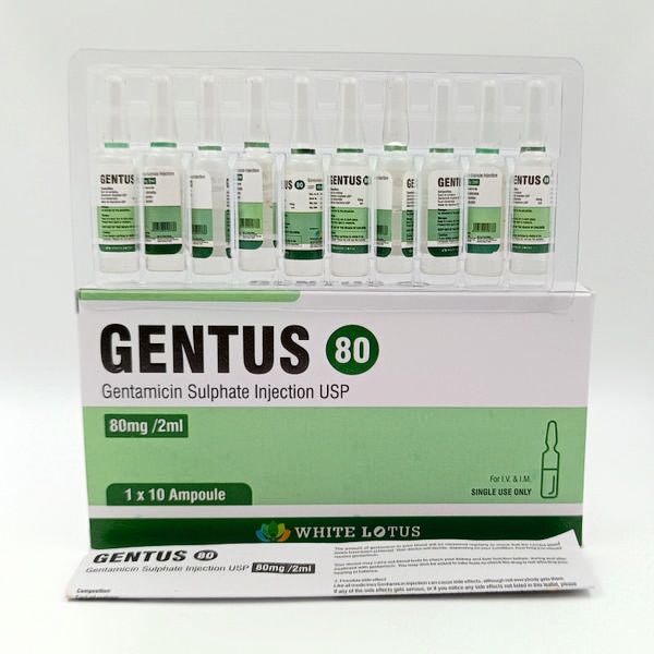 GENTUS 80