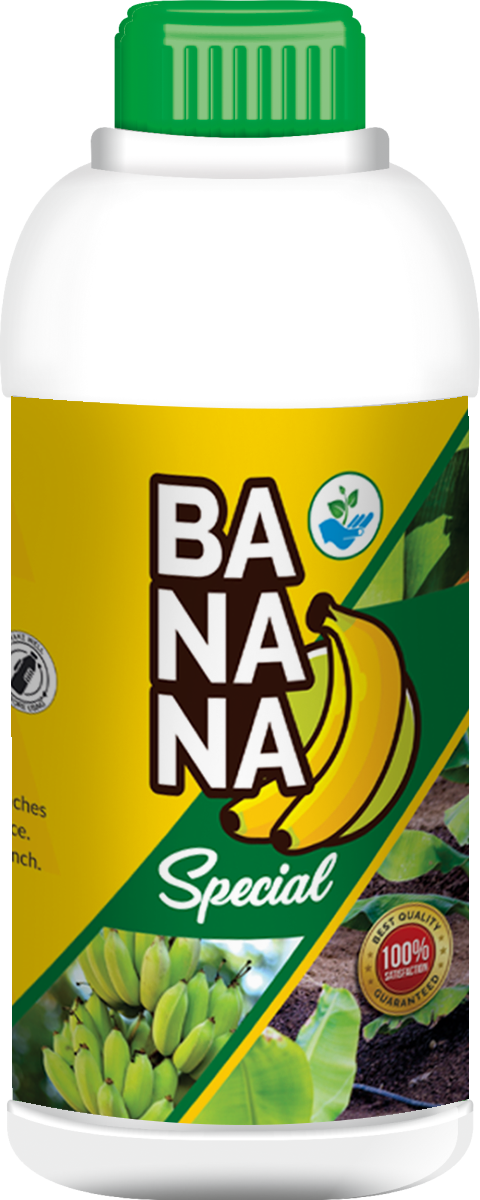 BANANA SPECIAL is a plant growth regulator especially made for Banana plants. It contains seaweed extracts, micro nutrients, macro nutrients, secondary nutrients, plant growth hormones, vitamins, minerals etc.,UsesBANANA SPECIAL increases the ratio of photosynthesis in plants and also increases the size of the leaves.It increases the count and weight of pods.It regulates the fruits gallery and improves its quality.It prevents from the impact of diseases and improves the immunity of Banana plant.It helps to increase the root mass and root proliferations.Usage quantityFor spraying mix 3ml – 5ml of Banana special with 1 litre of water.For trenching mix 3 litre of Banana special with water