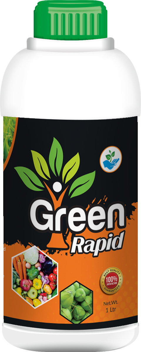 GREEN RAPID is a liquid for market crops. It helps to increase yield in all climatic conditions.UsesGreen Rapid balances nutrition of plants.It promotes root growth and vigorous development of the buds, induces a greater flowering, promotes the pollination and fruit set of fruits, improves the quantity and quality of the harvest.It is a nutrient – based bio stimulant which enhances crop performance by providing vigorous growth, yield, quality.Usage quantityFor short duration crops use 2 to 3 ml can be mixed with 1 litre of water.