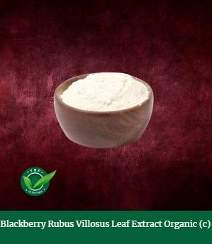 Blackberry Rubus Villosus Leaf Extract Organic (c) has antioxidant ability that stems from its phenolic acid content. Antioxidant components present in blackberry fruit include ferulic acid, caffeic acid, and quercetin, among many others. It is a good source of naturally-occurring antioxidants that benefit skin when applied topically.