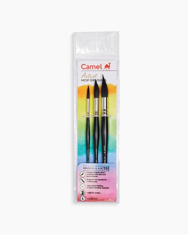 Professional-quality synthetic bristles that retain shape.High water-holding and colour-carrying capacity.Flexible bristles allow creating both thin and thick strokes.Nickle-plated ferrule minimises corrosion and gives brush a longer life.Compatible for artists of all levels of expertise.Travel-friendly container to prevent bristle damage.Smooth blending of colours.
