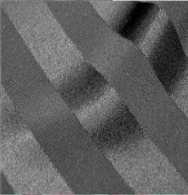 Cotton-Polyester Blended Fabrics