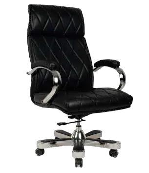 SS 113 product image
