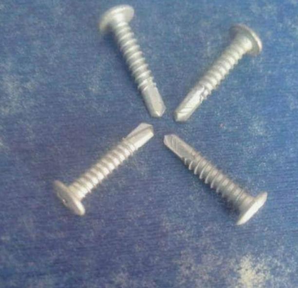 Corroshield Wafer Head Screws (Silver)The perfect choice for your fastening needs, these durable screws offer exceptional strength and resistance to corrosion. Ideal for various applications, they ensure a secure hold while blending seamlessly with any project. The sleek silver finish not only enhances aesthetics but also provides long lasting performance. Designed for easy installation, these screws are suitable for both professionals and DIY enthusiasts. Whether you're working on construction, woodworking, or home improvement tasks, they deliver reliability you can trust. Elevate your projects with high quality fasteners that stand the test of time and environmental factors.