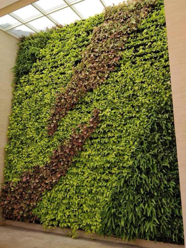 Vertical Garden Services by Govekar Ventures Pvt. Ltd. – PuneLooking for the best vertical garden services in Pune? Govekar Ventures Pvt. Ltd. specializes in designing and installing stunning, space-efficient vertical gardens for residential, commercial, and corporate spaces. With over 20 years of experience in landscape development and gardening, we provide customized green wall solutions that enhance aesthetics, improve air quality, and promote sustainability.Our Vertical Garden Services in Pune✅ Customized Green Walls – We design vertical gardens to suit your space, whether it's a home balcony, terrace, office wall, restaurant, or commercial building facade.✅ Indoor & Outdoor Vertical Gardens – Our expert team installs lush indoor green walls that enhance interiors and outdoor green facades for natural beauty.✅ Automatic Drip Irrigation Systems – We integrate low-maintenance, water-efficient irrigation systems to keep your plants fresh and healthy.✅ Air-Purifying & Aesthetic Plants – We use a variety of low-maintenance, air-purifying plants like ferns, money plants, snake plants, and flowering species.✅ Modular & Movable Vertical Garden Panels – Need flexibility? We offer movable vertical garden panels for easy relocation and customization.✅ Eco-Friendly & Sustainable Solutions – Our vertical gardens contribute to urban greenery, improve insulation, and reduce noise pollution.✅ Expert Installation & Maintenance – We provide professional setup, plant care guidance, and ongoing maintenance services in Pune.Why Choose Govekar Ventures Pvt. Ltd. for Vertical Gardens in Pune?✔ 20+ Years of Expertise in gardening & landscaping✔ Custom Designs for Homes, Offices, Hotels, and Public Spaces✔ Use of High-Quality, Low-Maintenance Plants✔ Affordable & Sustainable Green Wall Solutions✔ Serving Pune, PCMC, and All Over MaharashtraService Areas for Vertical Garden Installation in PuneWe offer vertical garden installation and maintenance services across Pune, including:📍 Baner | Hinjewadi | Kothrud | Aundh | Wakad | Koregaon Park | Viman Nagar | Hadapsar | Kharadi | Magarpatta | Pimpri-Chinchwad | Bibwewadi | Sinhagad Road | Swargate | Camp | Bavdhan | Pashan and more!If you're looking for a beautiful, low-maintenance vertical garden in Pune, Govekar Ventures Pvt. Ltd. is your trusted partner! 🌿✨
