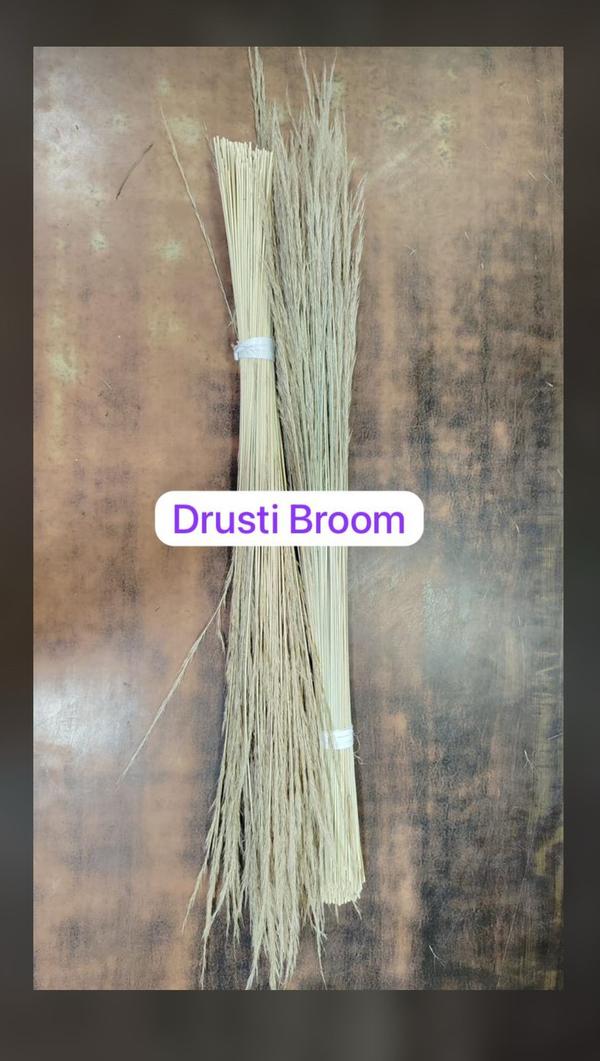 Drusti Broom