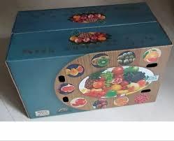 Board Grade(No. Of Ply)	Double Wall 5 PlyWeight Holding Capacity (Kg)	11 - 25 KgApplication	Fruit Packaging BoxType of Printing	FlexoShape	RectangularStyle of Corrugated box	Telescope typeMaterial Thickness	0-3 mmPaper Grades(Outer / Inner Liners)	Virgin Kraft PaperSpecial Finish	Additional Cut OutMaterial Grade(GSM)	185/200 GSMCountry of Origin	Made in IndiaCustomers have praised our presented Printed Paper Fruit Box due to availability in different sizes. These fruit boxes are superior in working and made with the best usage of papers which are recommended by the experts. These boxes are safe from damage by high pressure. These boxes are quality tested by the professionals to offer hard framed products in the market. Features:Eco friendlySafe to stuffAppreciable working