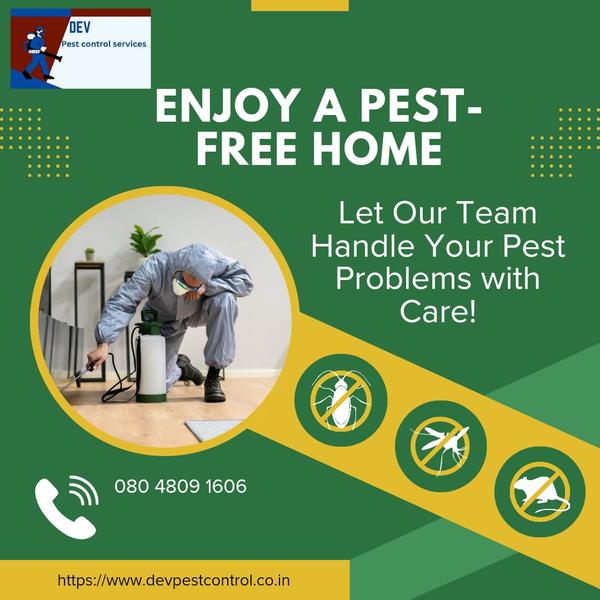 PEST CONTROL SERVICE IN DAHISAROur pest control services ensure a safe and hygienic environment, eliminating unwanted pests with effective and eco-friendly solutions. We provide expert treatment for homes and businesses, tackling termites, rodents, cockroaches, mosquitoes, and more. With advanced techniques and skilled professionals, we guarantee long-lasting protection, keeping your space pest-free and comfortable. Let us handle the problem so you can enjoy peace of mind.
