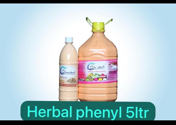 Cleanbust Herbal Phenyl