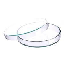 Introducing our Petri Dish – a crucial vessel for microbial cultivation in your laboratory. Crafted with precision from high-quality materials, this transparent dish balances durability with clarity, providing an ideal environment for observing and studying microorganisms. Whether you're a researcher exploring the intricacies of microbiology or a student engaged in hands-on experiments, our Petri Dish ensures a sterile and controlled platform, fostering precise and detailed observations for a wide range of laboratory applications. Elevate your scientific pursuits with confidence, as each Petri Dish becomes a reliable tool in unlocking the mysteries of the microbial world within the confines of a single, meticulously designed vessel.