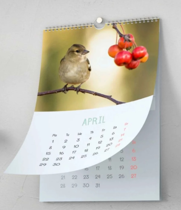 Service Location Local AreaPayment Mode Online/OfflineService Type Wall Calendar PrintingDuration 4 DaysService mode OfflineMinimum order quantity: 100 PiecePrices as per buyer requirement