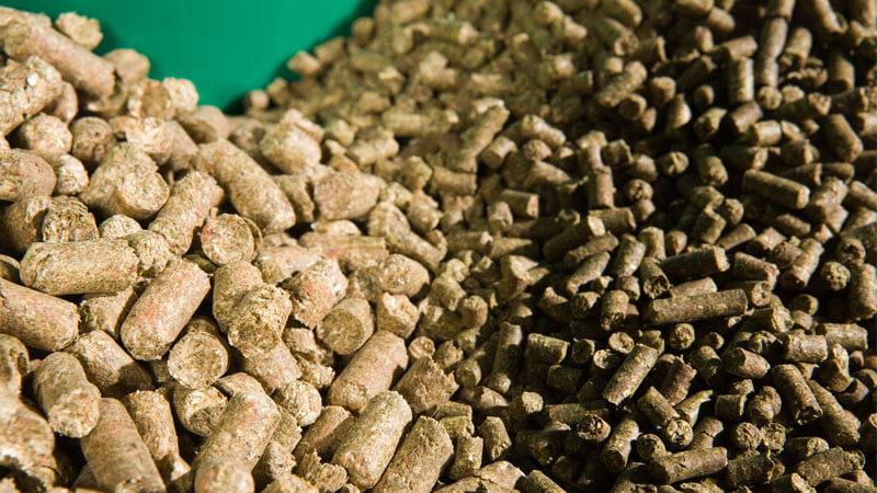 Pellet feed is a type of animal feed that is compressed into small, uniform, disc-shaped pieces, often referred to as pellets. It is made by grinding feed ingredients and then forcing them through a die under pressure, which can also involve steam or heat