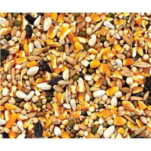 Sri Biks feeds is a grain feed manufacturing company specializing in the production and distribution of high-quality, nutritionally balanced animal feed for livestock such as cattle, poultry, swine, and goats. Located in [City, Country], our facility is equipped with modern processing equipment that ensures consistent product quality, safety, and efficiency.We source raw grains such as corn, soybeans, wheat, and barley directly from trusted local farmers and suppliers. Our feed formulations are developed by animal nutritionists to meet the specific dietary needs of various animals at different growth stages.