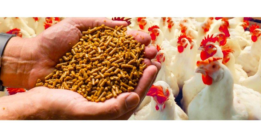 Sri Biks Feed is a poultry feed manufacturing company dedicated to producing high-quality, nutritious, and cost-effective feed products for poultry farmers. Our mission is to support the poultry industry by providing scientifically formulated feed that enhances the health, growth, and productivity of broilers, layers, and other poultry breeds.We manufacture a wide range of poultry feed products, including starter feed, grower feed, finisher feed, and layer feed, tailored to the different stages of poultry development. Our feed is produced using high-grade raw materials such as maize, soybean meal, wheat bran, vitamins, and essential minerals, ensuring balanced nutrition.