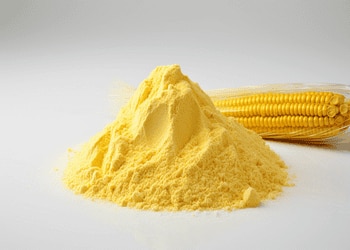 Maize powder (maize gluten meal) offers several benefits for cattle. It's a good source of protein, energy, and fiber, contributing to healthy growth and development. Maize gluten meal is also versatile and safe for cattle of all ages. 