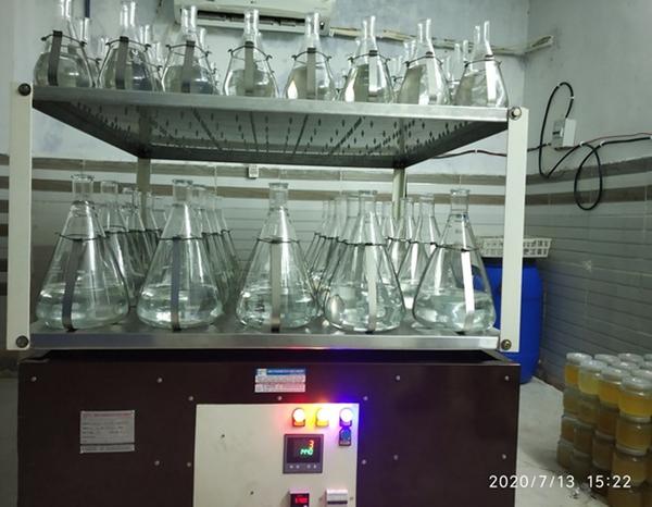 Leading Laboratory Shaker Manufacturer, Orbital Shaker Manufacturer, and Rotary Shaker Manufacturer in India. Trusted shaker suppliers for biotech labs across Delhi, Mumbai, Chennai, and Bengaluru.Buy Laboratory Shakers from Trusted Indian ManufacturersUma Pharmatech Machinery is a top Laboratory Shaker Manufacturer in India, providing reliable and high-performance shakers for research labs, universities, and industrial R&D centers. Our advanced orbital and rotary shakers are built using precision engineering and robust materials that suit continuous laboratory operations. Researchers in Mumbai, Hyderabad, and Ahmedabad rely on our laboratory shakers for consistent results and dependable performance.As premier Laboratory Shaker Suppliers, we provide shakers that are ideal for mixing, incubation, and culturing in biotechnology and pharmaceutical applications. Our range includes tabletop, floor-mounted, and stackable models with variable speed control and digital displays. We have served clients across Tamil Nadu, Karnataka, and Maharashtra with units designed for optimal aeration and temperature control. Our orbital and rotary shakers are known for their low noise, energy efficiency, and easy maintenance, making us a trusted name in the industry.Best Orbital Shaker Manufacturer for Research and IndustryWhen it comes to uniform circular motion and controlled agitation, Uma Pharmatech stands out as a leading Orbital Shaker Manufacturer in India. Our orbital shakers are widely used in microbiology, molecular biology, and tissue culture labs across Bengaluru, Lucknow, and Indore. Designed to ensure homogenous mixing and consistent RPM, our shakers deliver unmatched reliability in fermentation and incubation processes.Our clients from Gujarat, Punjab, and Uttar Pradesh appreciate the durability and customization options available in our shakers. Whether you need variable speed settings, programmable timers, or refrigerated units for sensitive cultures, we have the perfect orbital shaker for your application. Research labs and contract testing facilities in Chennai, Nagpur, and Coimbatore have enhanced their workflow using our top-tier orbital shaker systems.Reliable Rotary Shaker Manufacturer in IndiaFor laboratories seeking precision mixing solutions, Uma Pharmatech is a trusted Rotary Shaker Manufacturer offering robust and ergonomically designed shaker models. Our rotary shakers provide 360-degree motion with adjustable speed and angle, making them ideal for mixing solvents, cell suspensions, and culture media. Customers in Delhi, Pune, and Bhopal choose our rotary shakers for their smooth performance and low vibration operation.As dedicated Rotary Shaker Suppliers, we focus on functionality and longevity. Labs in Haryana, West Bengal, and Andhra Pradesh prefer our machines due to their space-saving design and precise control systems. We have a wide range of models suited for low to high throughput requirements, and our support extends from installation to calibration and servicing. In Jaipur and Patna, institutions rely on our expertise for integrating rotary shakers into both academic and industrial workflows.Trusted Laboratory Shaker Suppliers Across Indian MarketsBeing one of the most recognized Laboratory Shaker Suppliers in India, Uma Pharmatech Machinery has built a strong client base by ensuring timely delivery, competitive pricing, and after-sales support. Our shakers meet the rigorous standards required for GLP and GMP labs, and our expertise extends to helping clients choose the right shaker depending on flask size, RPM range, and application type.Across Telangana, Madhya Pradesh, and Rajasthan, we have supplied laboratory shakers that are crucial to scaling up fermentation studies, antibiotic research, and media preparation. In Surat, Kanpur, and Noida, institutions and startups have found our compact, noise-free shakers perfect for 24/7 operation. Whether you are expanding your lab or replacing older equipment, we offer the best value and performance for every rupee you spend.Why Choose Uma Pharmatech for Laboratory Shakers in IndiaWhen looking for a reliable Laboratory Shaker Manufacturer, Uma Pharmatech Machinery provides the perfect combination of performance, precision, and price. Our design philosophy revolves around long-lasting motors, seamless control interfaces, and safety features for continuous lab use. With over a decade of experience, we are trusted by laboratories across Chandigarh, Thiruvananthapuram, and Kolkata.Our shakers are ideal for biofertilizer production labs, molecular diagnostics labs, fermentation research centers, and teaching institutions. Whether you need a benchtop orbital shaker for a small R&D lab or a large rotary shaker for a production facility, we have a solution tailored to your operational needs. As a complete solution provider in the laboratory shaker market, Uma Pharmatech Machinery is your go-to partner for quality, durability, and results.FAQs – Buying Intent BasedQ1. Where can I buy a laboratory orbital shaker in India with fast delivery?Uma Pharmatech Machinery provides quick delivery of high-performance orbital shakers across India including Delhi, Ahmedabad, and Bengaluru, making us a preferred Orbital Shaker Supplier.Q2. Who is the best rotary shaker manufacturer in Maharashtra for fermentation research?Uma Pharmatech Machinery is recognized as a top Rotary Shaker Manufacturer in Maharashtra, offering precision-designed shakers for fermentation and R&D labs.Q3. Can I get a customized laboratory shaker in Tamil Nadu for biotechnology applications?Yes, we offer custom-built laboratory shakers with adjustable RPM and platform sizes to suit specific biotech and pharma applications in Tamil Nadu.Q4. Which is the top supplier of orbital and rotary shakers in Gujarat and Rajasthan?Uma Pharmatech Machinery is a trusted name among Laboratory Shaker Suppliers, delivering reliable orbital and rotary shakers across Gujarat and Rajasthan.Q5. What is the price of a digital orbital shaker with 500 ml flask capacity in India?Prices vary based on specifications, but Uma Pharmatech offers competitive pricing on all models. Contact us to get a quote tailored to your orbital shaker needs with flask compatibility.